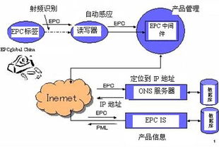 產(chǎn)品電子代碼系統(tǒng)的工作流程與基礎(chǔ)軟件服務(wù)