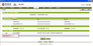 中國(guó)銀行網(wǎng)上支付用戶指南