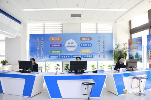 稅力量助高效辦成一件事 平?jīng)鲠轻挤?wù)上新更上心鳳凰網(wǎng)甘肅 鳳凰網(wǎng)