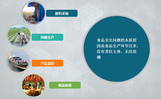 溯源系統(tǒng)在食品質量保障與購物系統(tǒng)中的關鍵作用